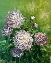 Flowers peonies. 2024